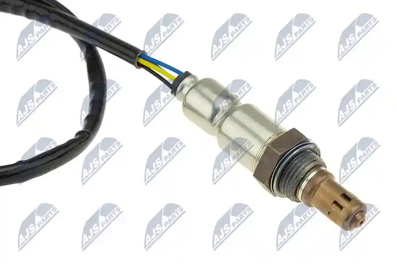 NTY ESL-AU-021