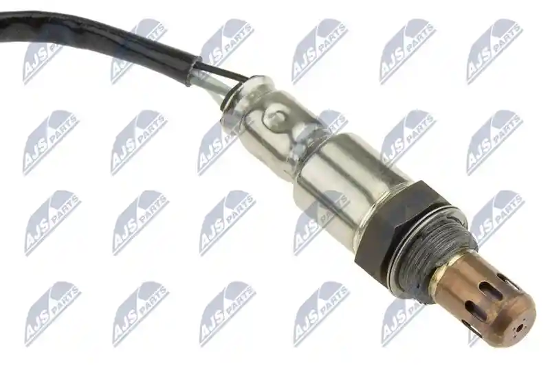 NTY ESL-AU-024