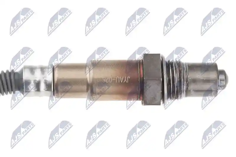 NTY ESL-AU-026