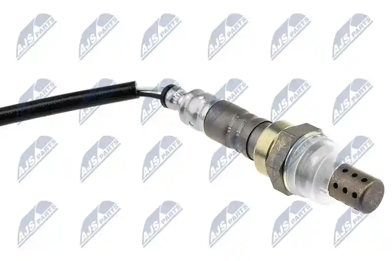NTY ESL-MS-010