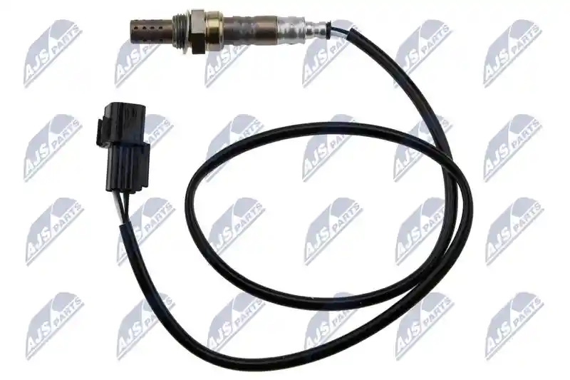 NTY ESL-MS-012