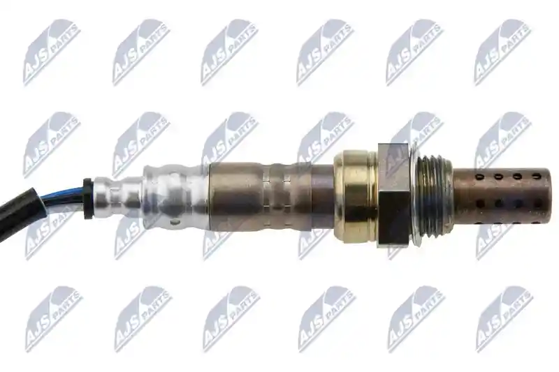 NTY ESL-MS-012