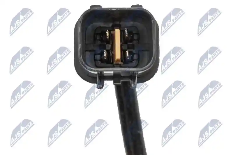 NTY ESL-MS-012