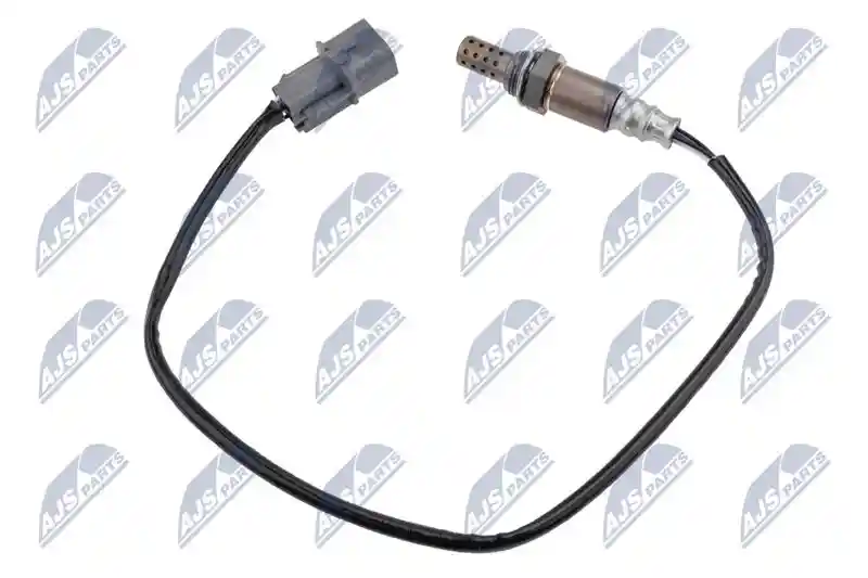 NTY ESL-MS-016