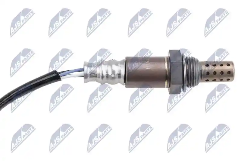 NTY ESL-MS-016