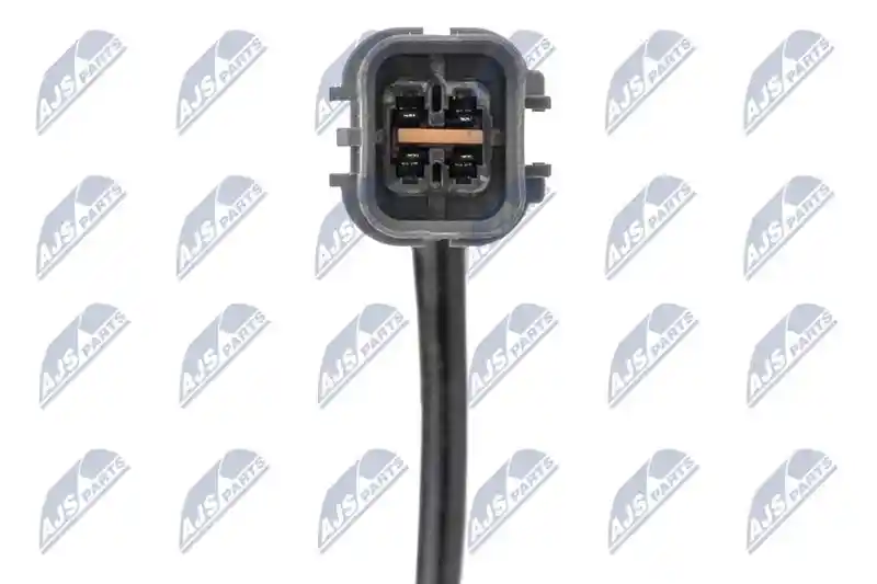 NTY ESL-MS-016