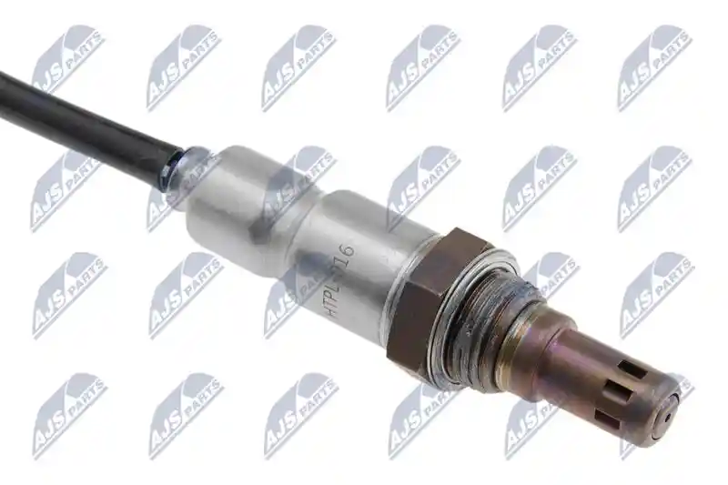 NTY ESL-PL-016