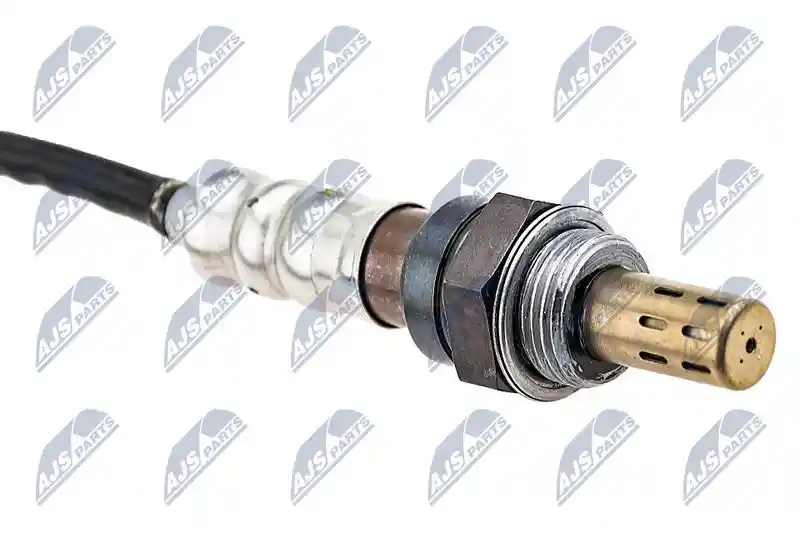 NTY ESL-WW-006