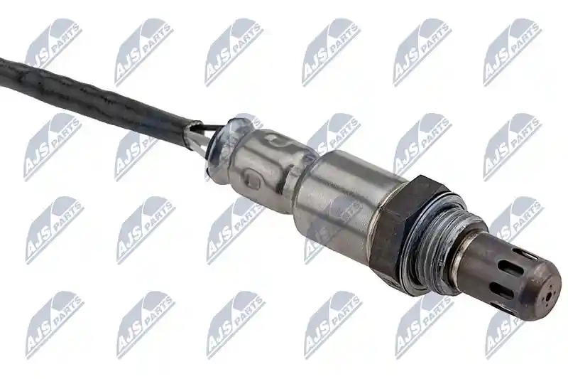 NTY ESL-WW-009