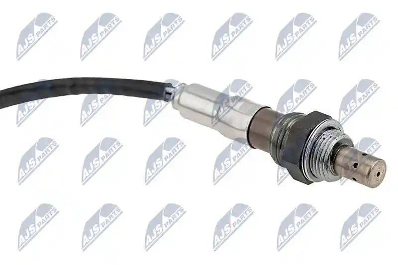 NTY ESL-WW-011