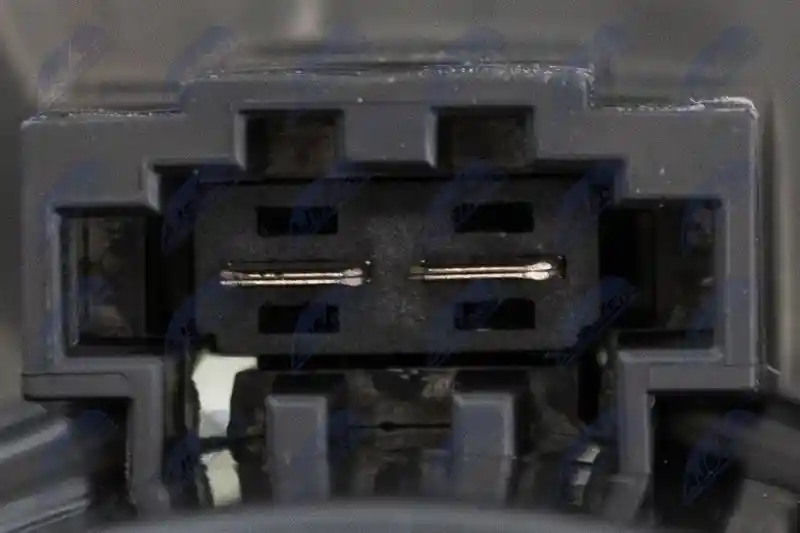 NTY EWN-AU-011