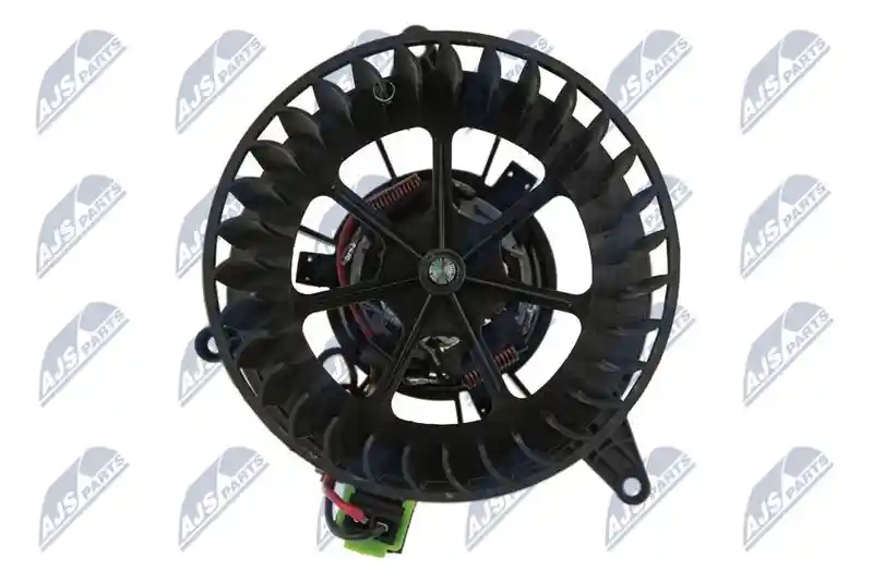 NTY EWN-FR-002