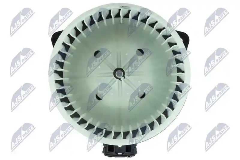 NTY EWN-MS-005