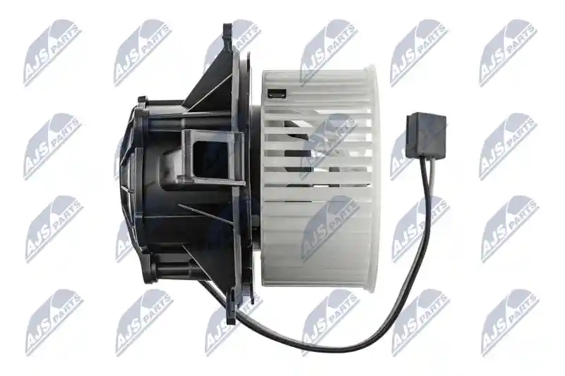 NTY EWN-PL-002