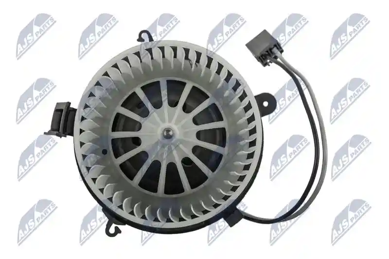 NTY EWN-PL-002