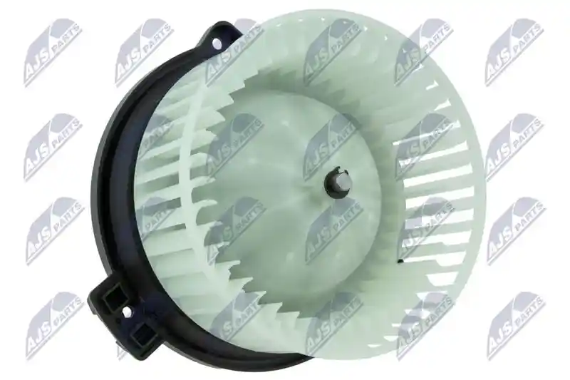 NTY EWN-TY-006 NTY EWN-TY-006