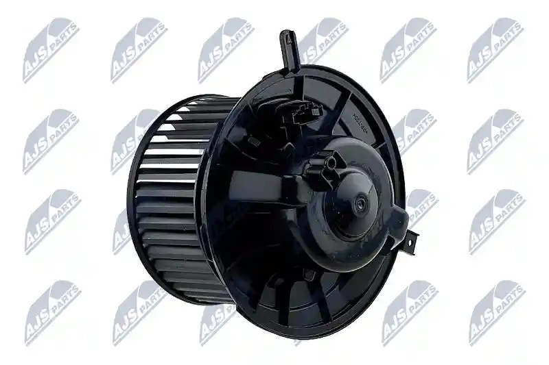 NTY EWN-WW-000