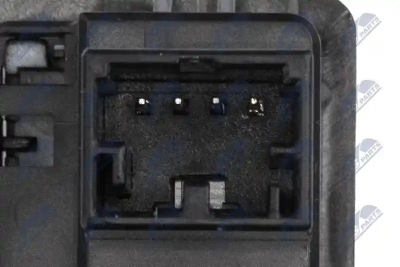 NTY EWS-AU-082