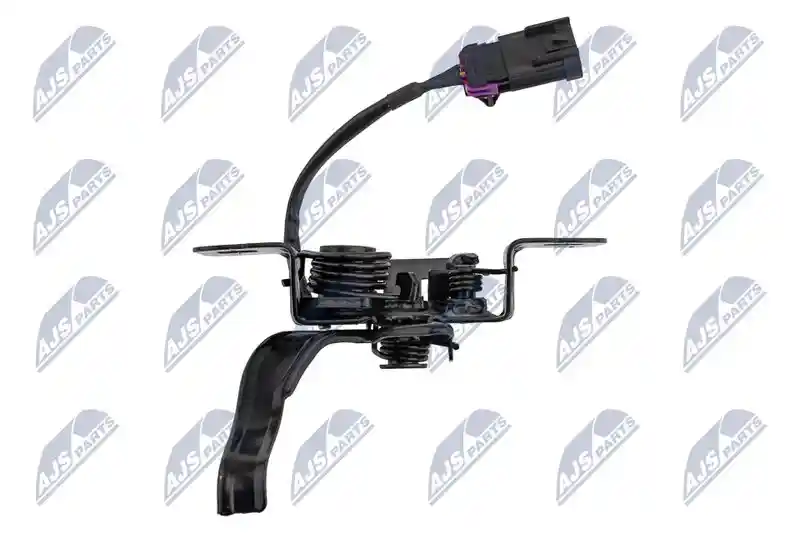 NTY EZC-PL-081