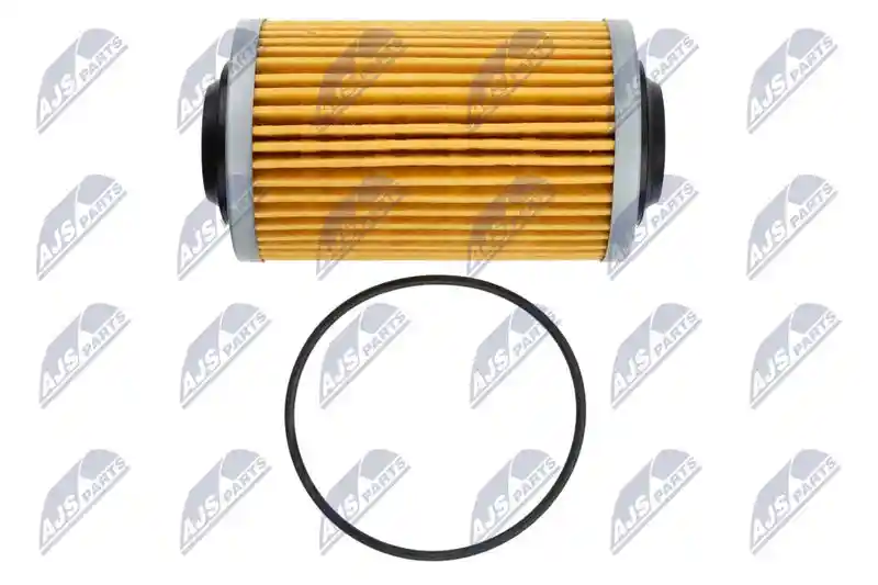 NTY FOF-AR-003