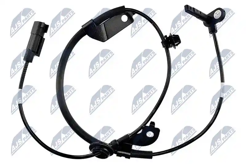 NTY HCA-MS-019