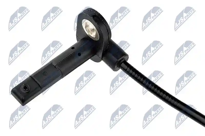NTY HCA-MS-019