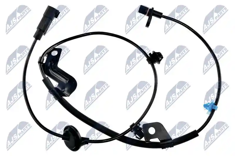 NTY HCA-MS-021