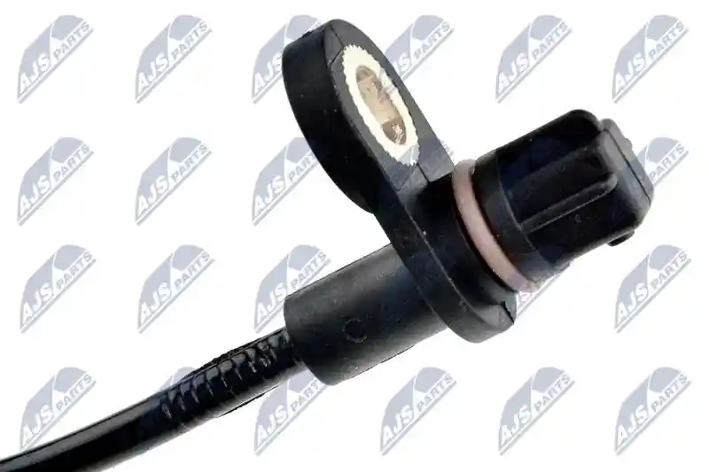 NTY HCA-MS-021