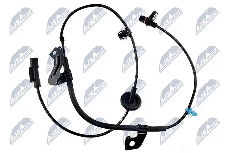 NTY HCA-MS-022