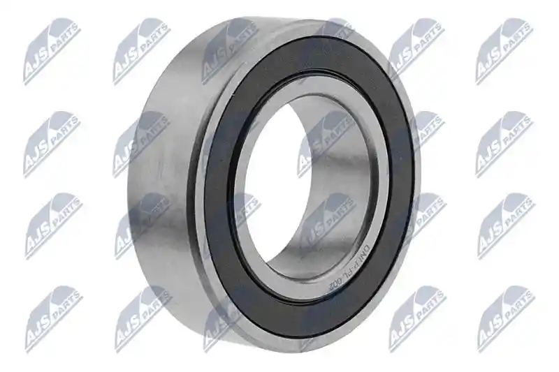 NTY NLP-PL-002