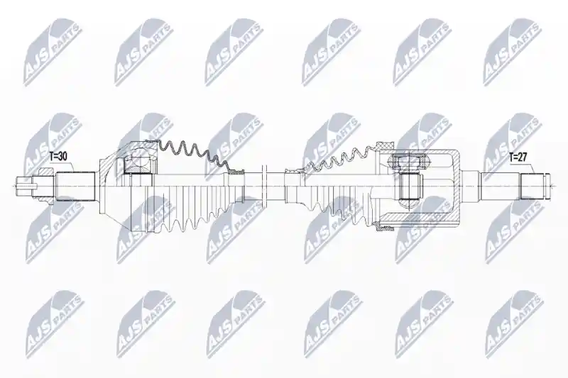 NTY NPW-AR-008
