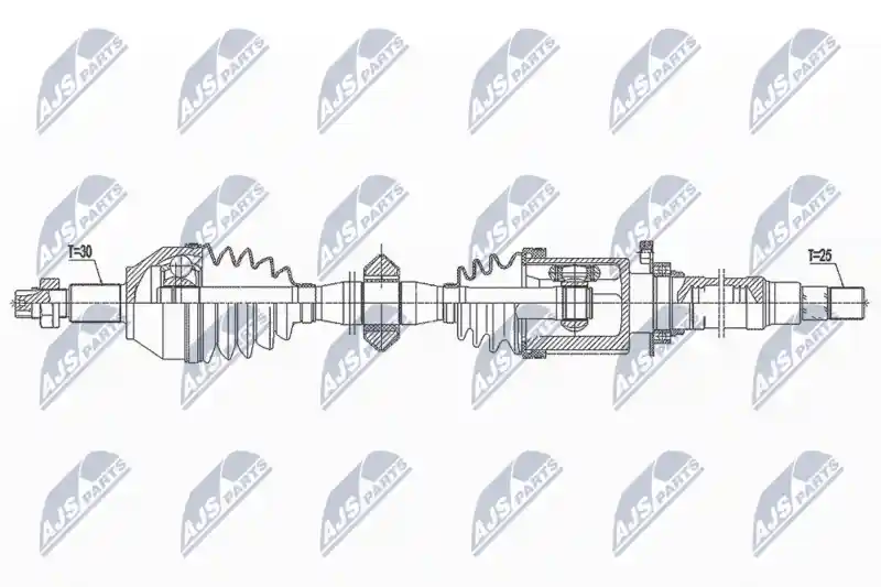 NTY NPW-AR-014