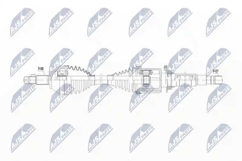 NTY NPW-AR-022