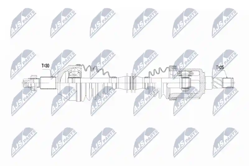 NTY NPW-AR-030