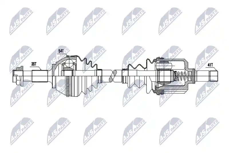 NTY NPW-CT-185