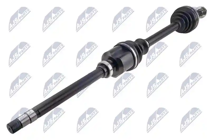 NTY NPW-CT-186