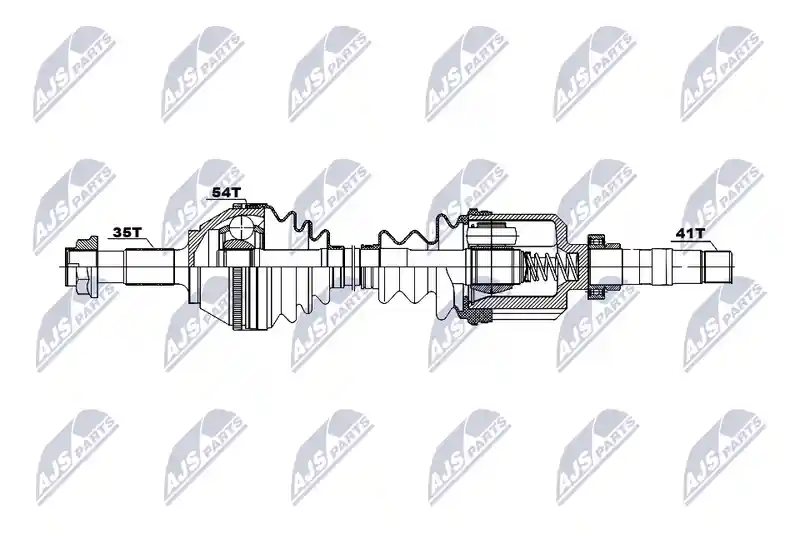 NTY NPW-CT-186