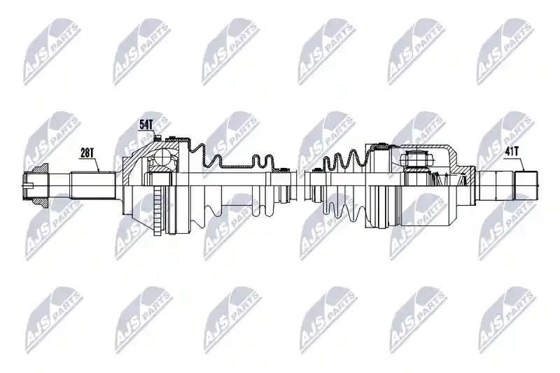 NTY NPW-CT-187