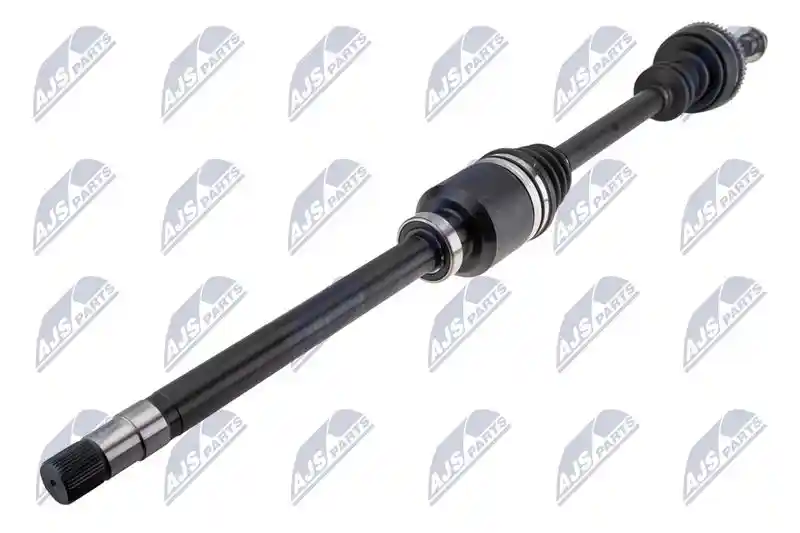 NTY NPW-CT-188