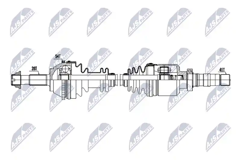 NTY NPW-CT-188