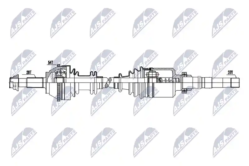NTY NPW-CT-196