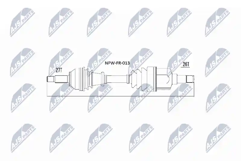 NTY NPW-FR-013