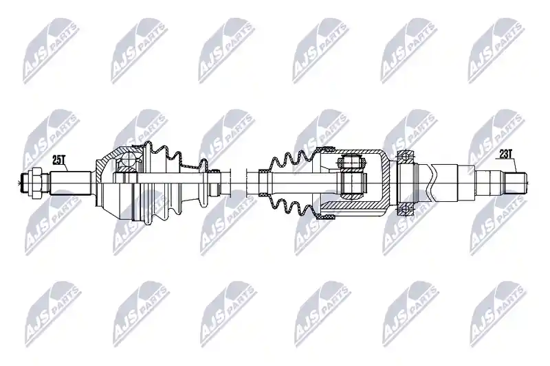 NTY NPW-FR-256