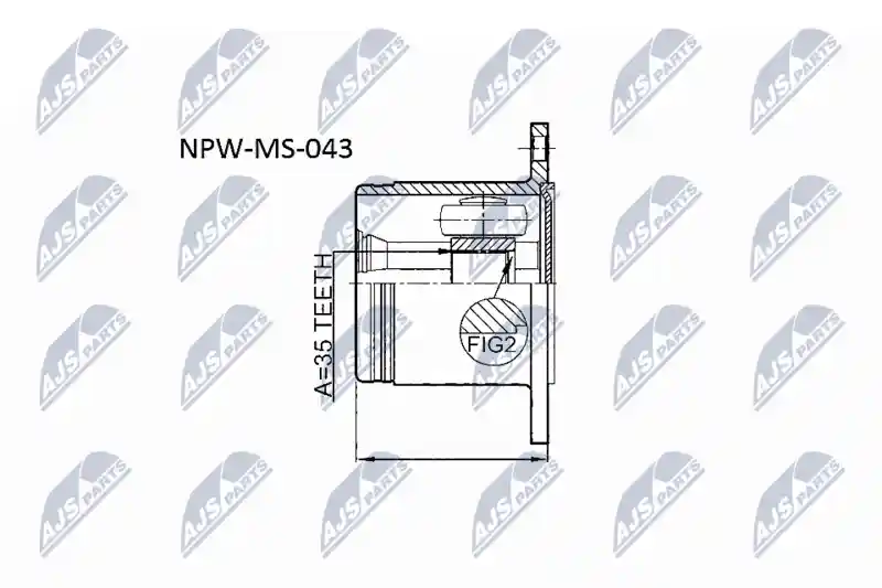 NTY NPW-MS-043