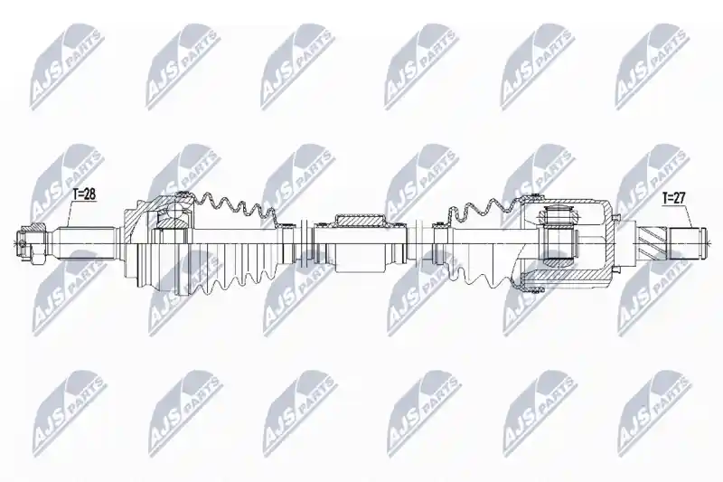 NTY NPW-MS-061