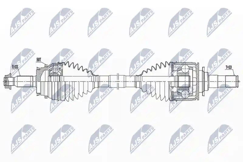 NTY NPW-MS-077