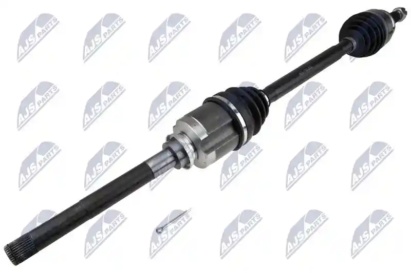 NTY NPW-MS-118