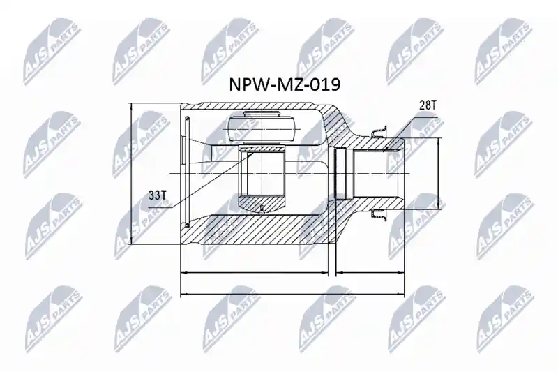 NTY NPW-MZ-019