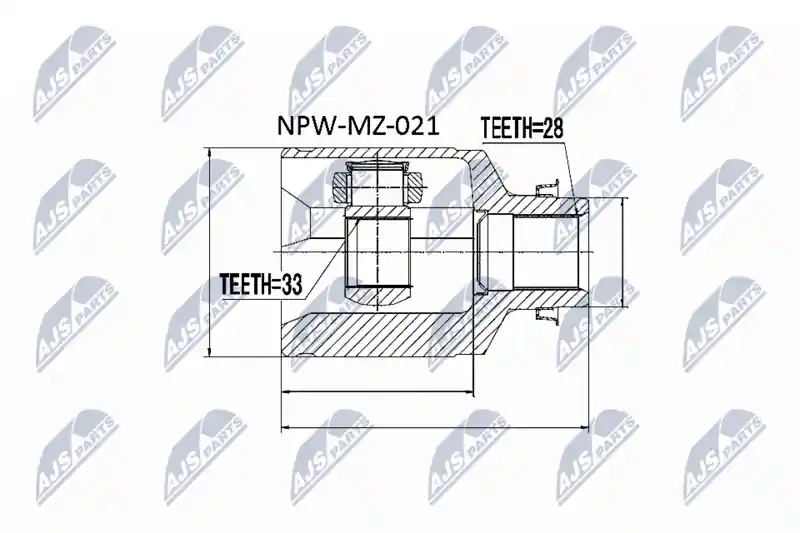 NTY NPW-MZ-021