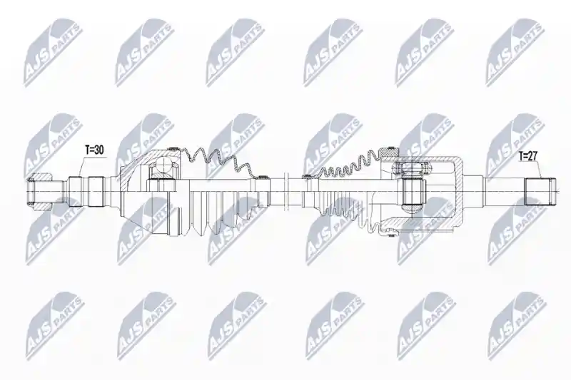NTY NPW-PL-065